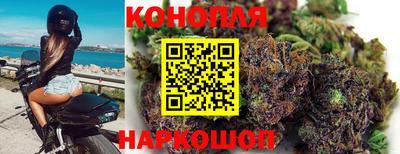 прущие грибы Ленинск-Кузнецкий